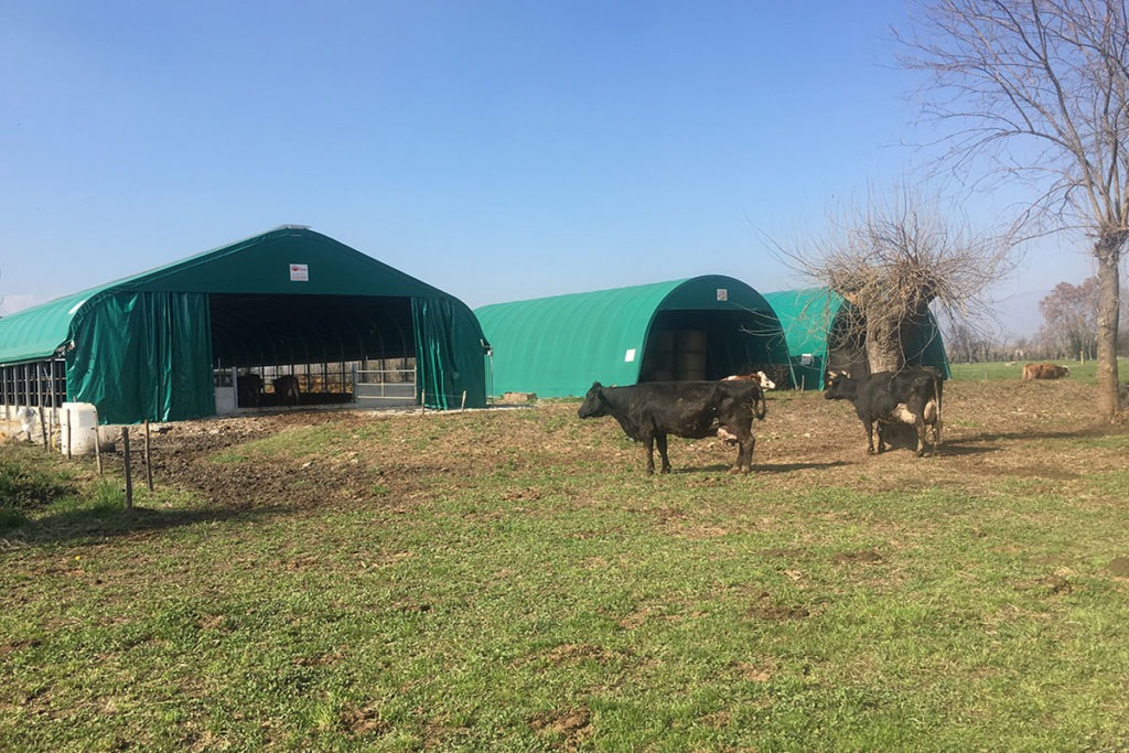 Farm tunnel per bovini, Cattle and buffalo fabric farm shelters