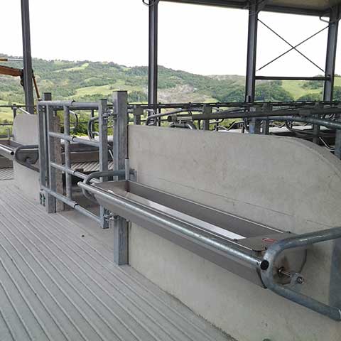 Cattle and buffalo drinking troughs