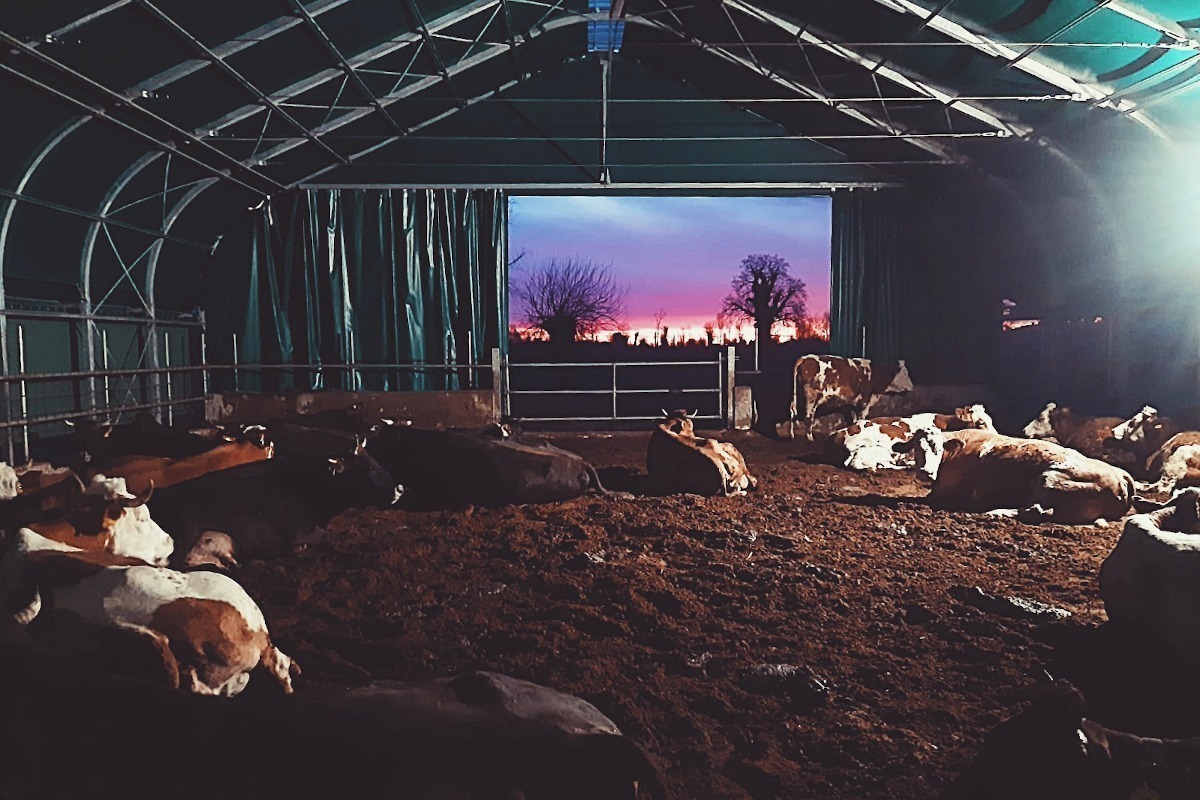 COMPOST BARN: DE CE DA ȘI DE CE NU?