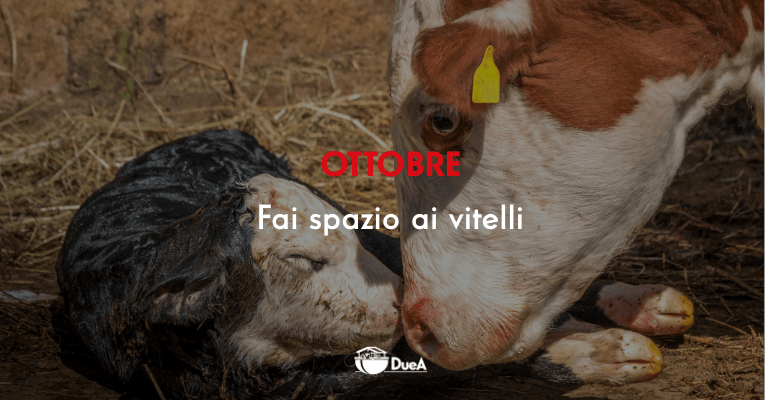 FAI SPAZIO AI VITELLI