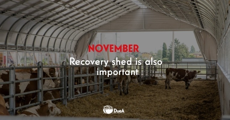 RECOVERY SHED IS ALSO IMPORTANT