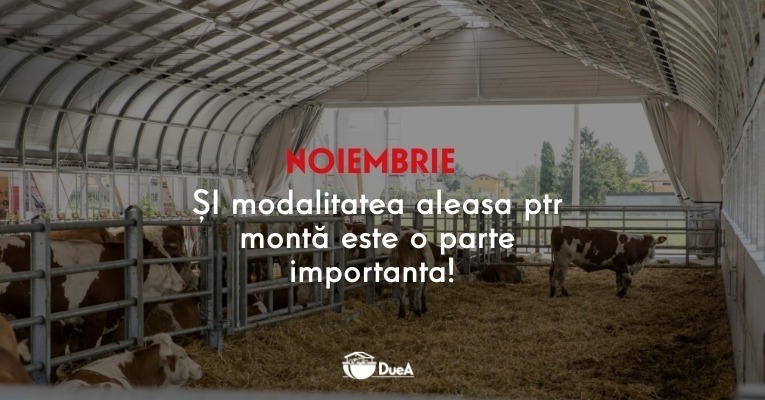 ȘI modalitatea aleasa ptr montă este o parte importanta!