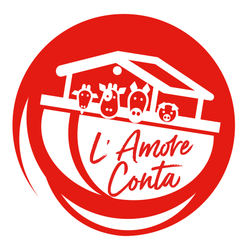 l'amore conta