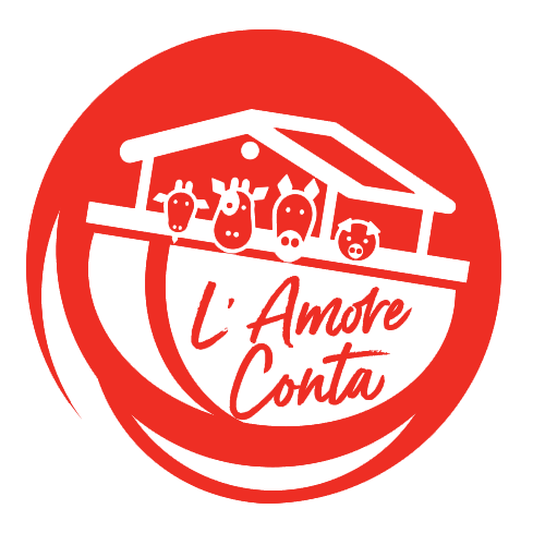 L'amore conta