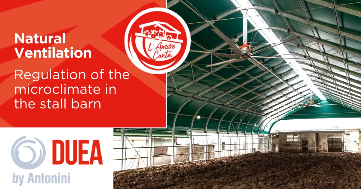 Regulation of the microclimate in the stall barn and natural ventilation