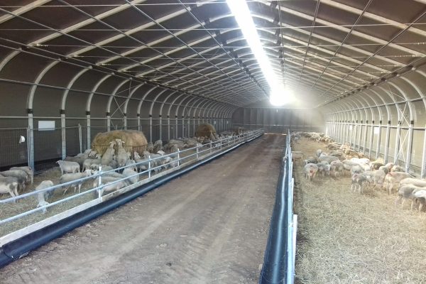 Sheep and goat fabric farm shelter, Landwirtschaftliche Bogenhalle für Schafe